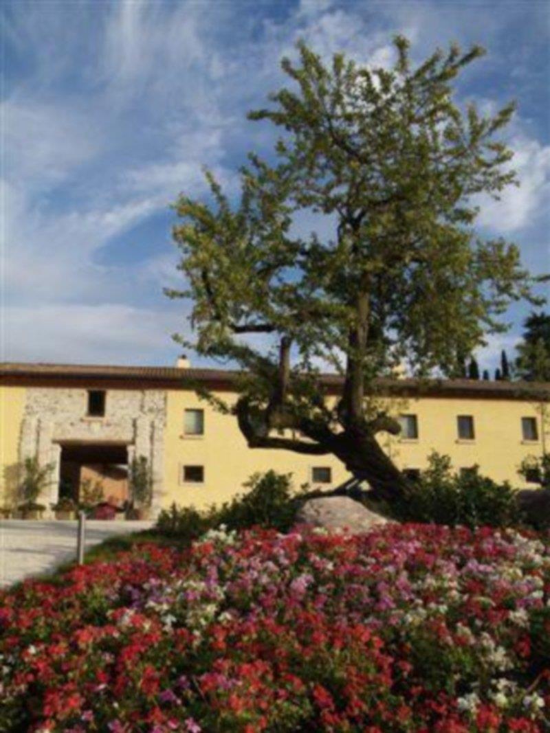 Relais Corte Cavalli Ponti sul Mincio Exterior foto